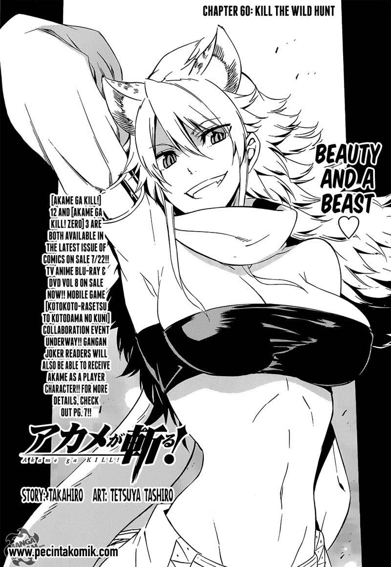 Akame ga Kill! Chapter 60 Gambar 2