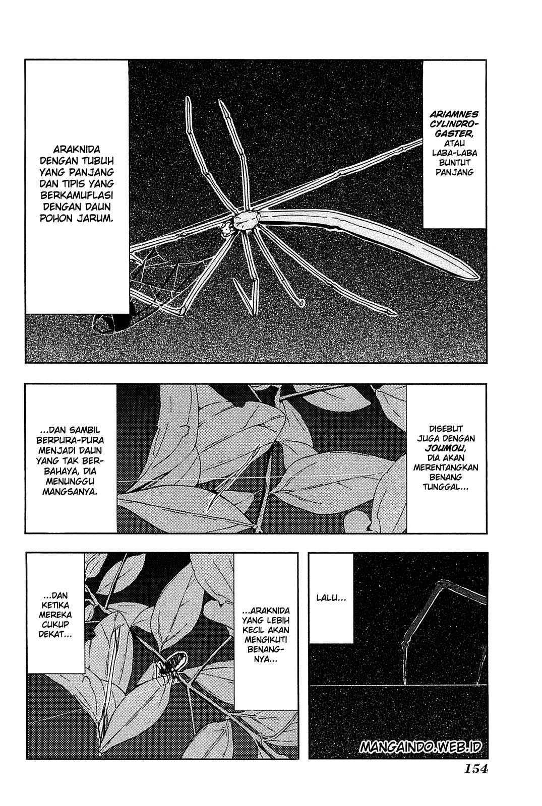 Arachnid Chapter 05 Gambar 5