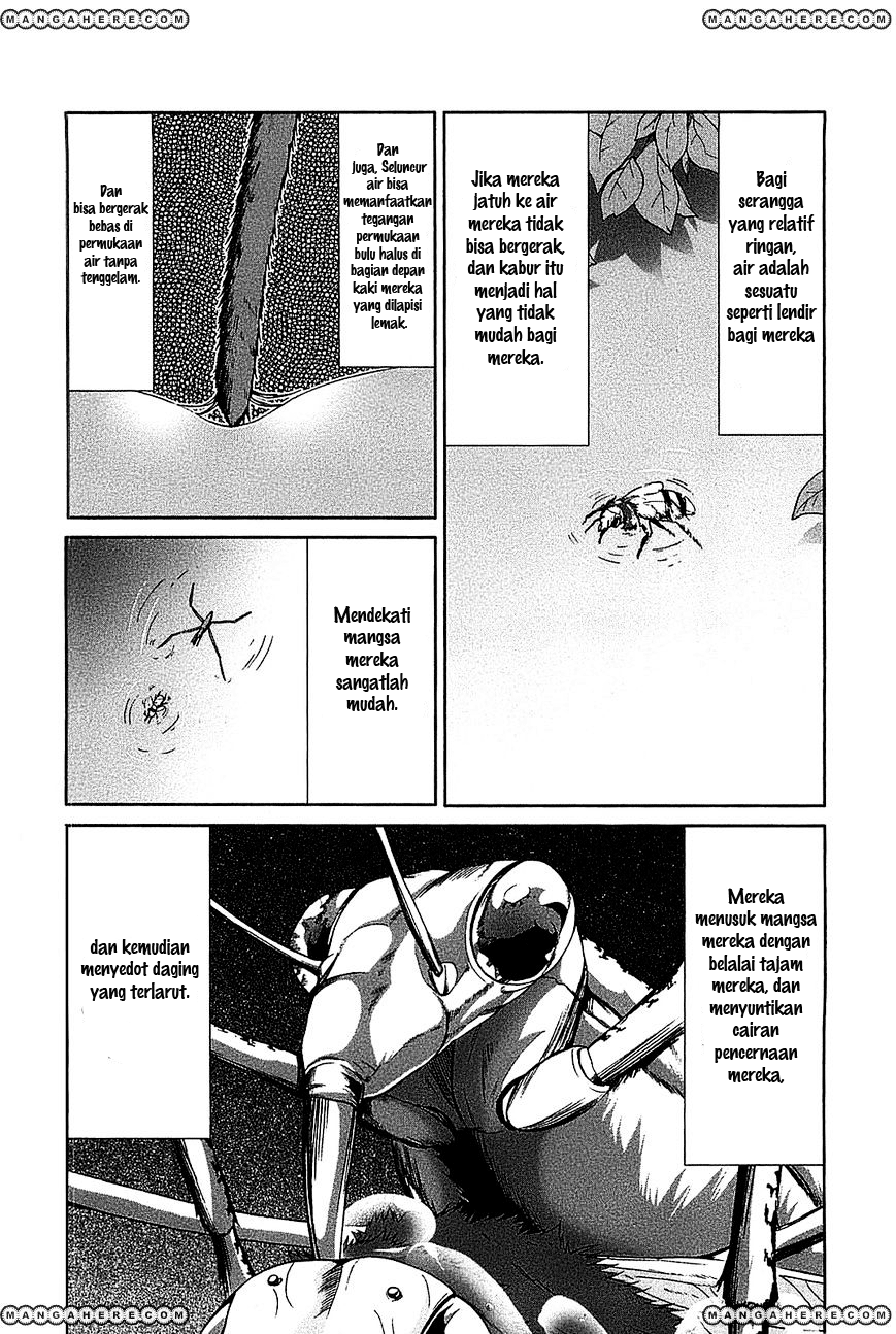 Arachnid Chapter 19 Gambar 20