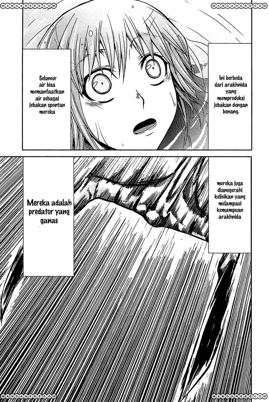 Arachnid Chapter 19 Gambar 21