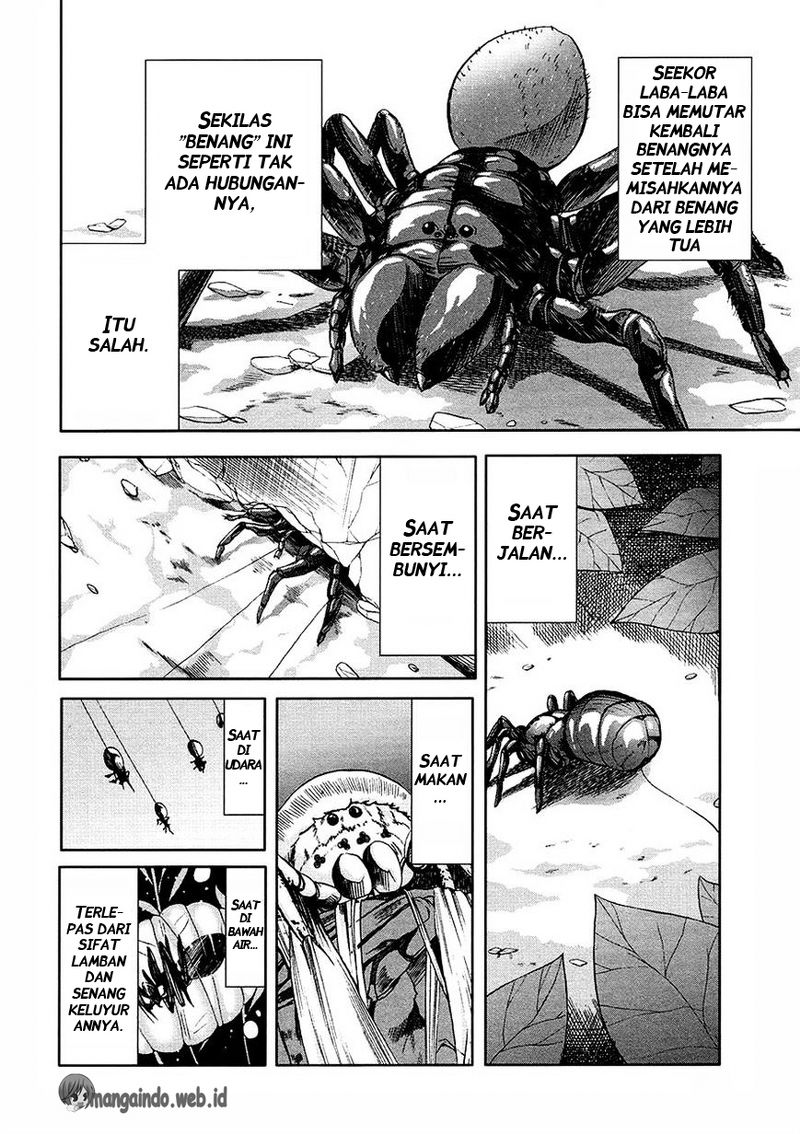 Arachnid Chapter 31 Gambar 36