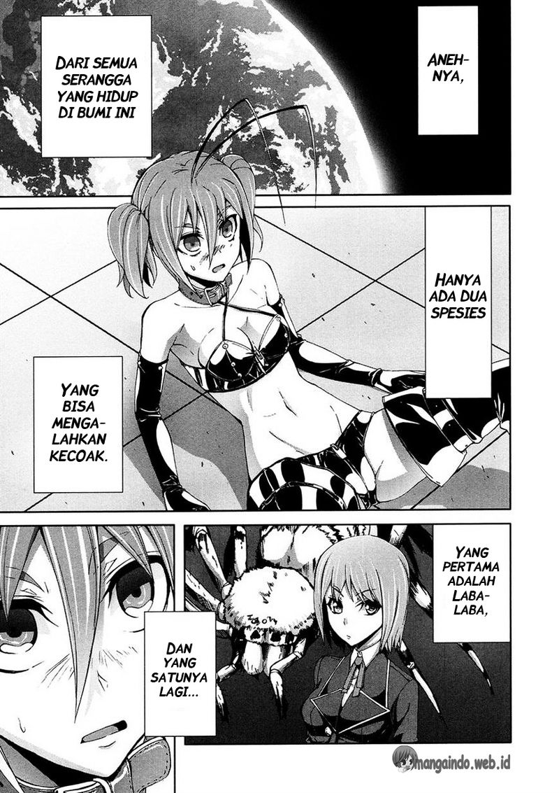 Arachnid Chapter 34 Gambar 1