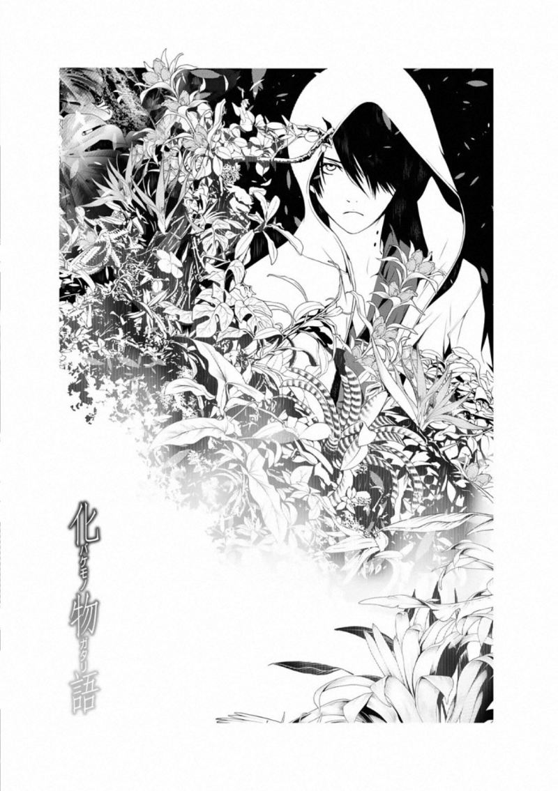 Bakemonogatari Chapter 105 Gambar 1
