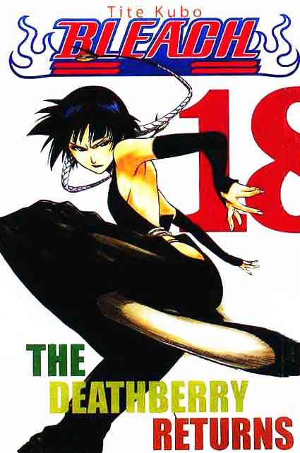 Bleach Chapter Vol 18 Gambar 1