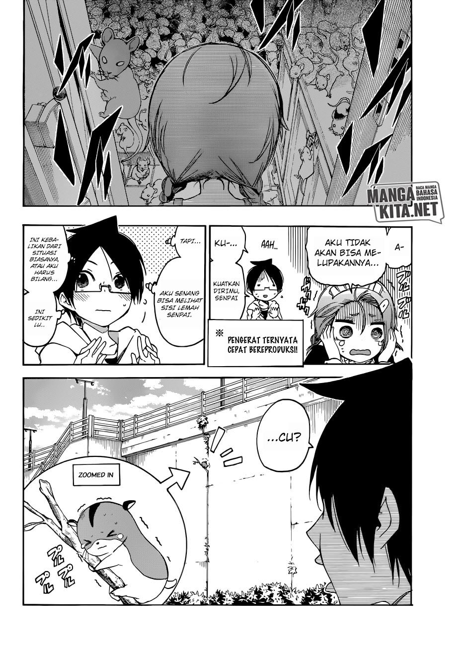 Bokutachi wa Benkyou ga Dekinai Chapter 71 Gambar 13