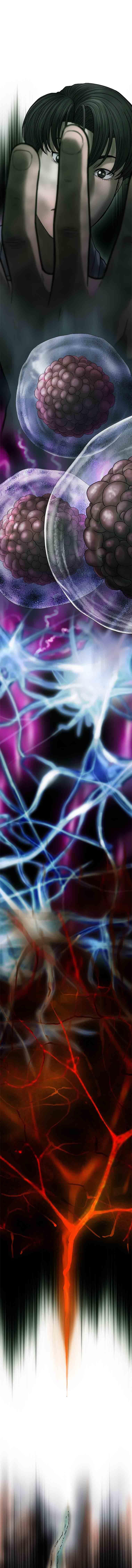 Cell Chapter 26 Gambar 8