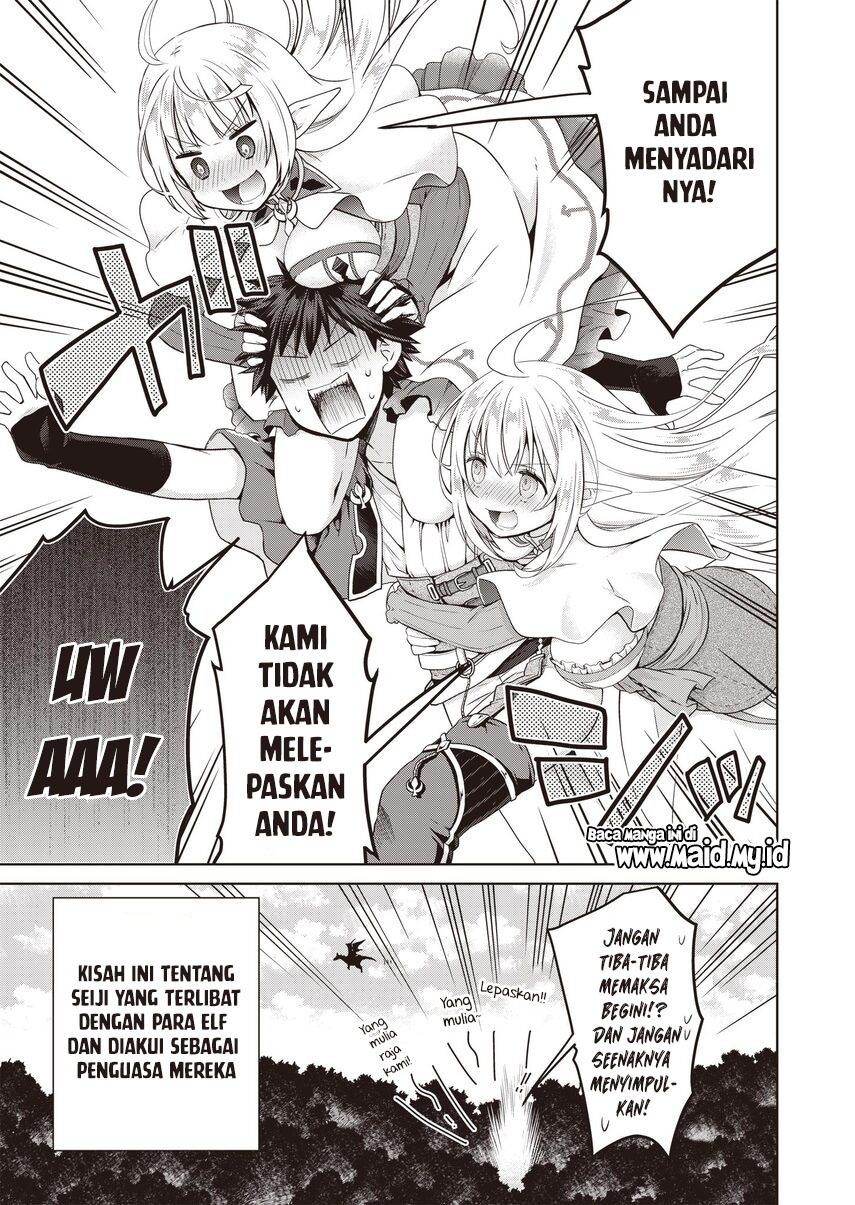 Dakara Katte Ni Yusha Toka Hao Ni Nintei Sun No Yamero Yo! Elf Zoku Mo Kokuo Sama Mo Hirefusu Hodo Ore Ha Idaina Yakuwarirashi Chapter 01 Gambar 5