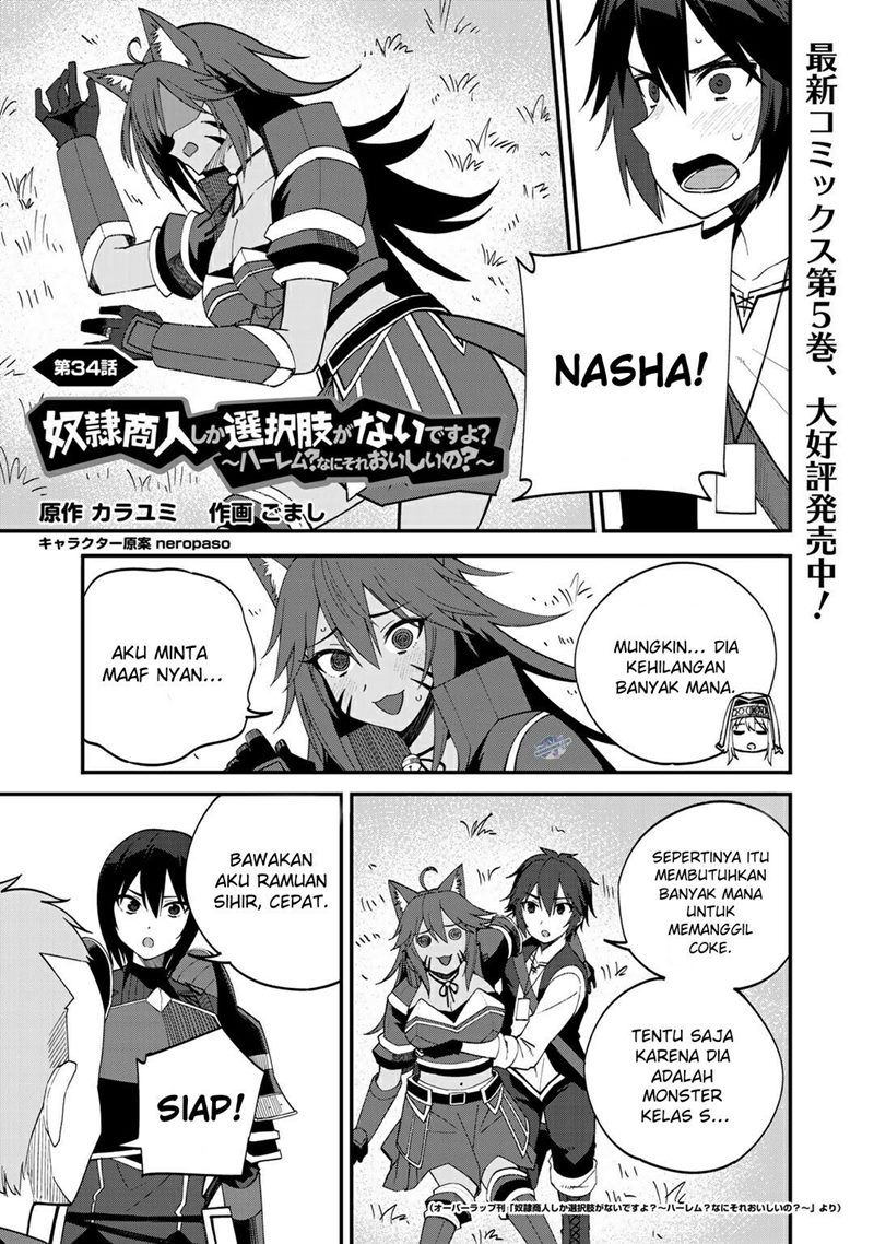 Dorei Shounin shika Sentakushi ga nai desu yo? ~Harem? Nani sore oishii no?~ Chapter 34 Gambar 2
