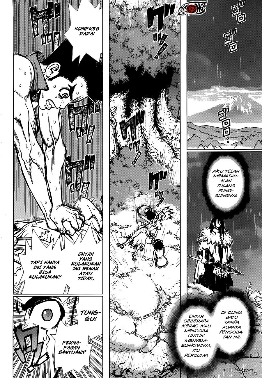 Dr. Stone Chapter 12 Gambar 7