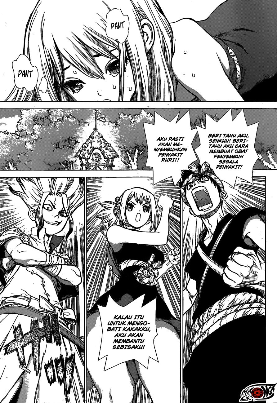 Dr. Stone Chapter 20 Gambar 4