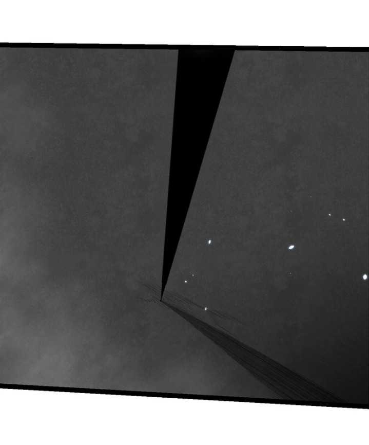 Evolution Begins With A Big Tree Chapter 332 fix Gambar 31