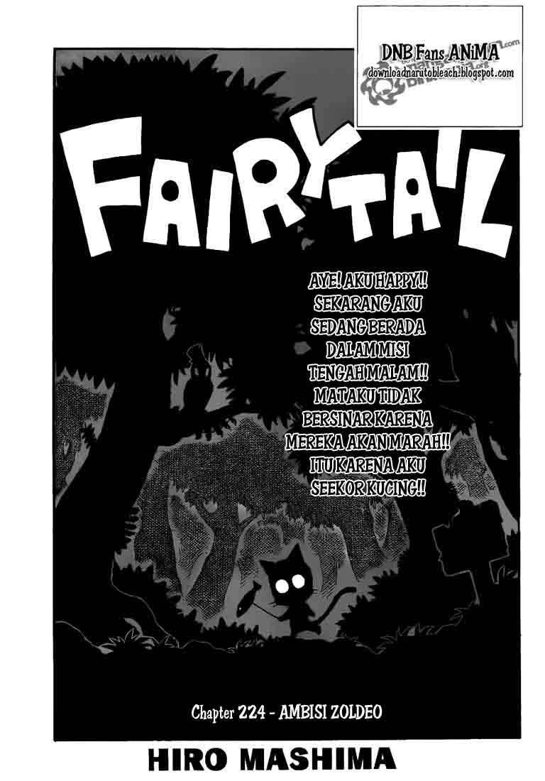 Fairy Tail Chapter 224 Gambar 1