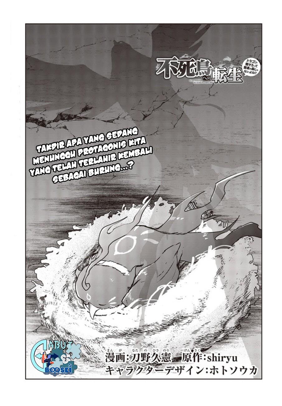 Fushichou e no Tensei: Dragon Taoseru tte Futsuu no Tori ja nai yo ne? Chapter 02 Gambar 3