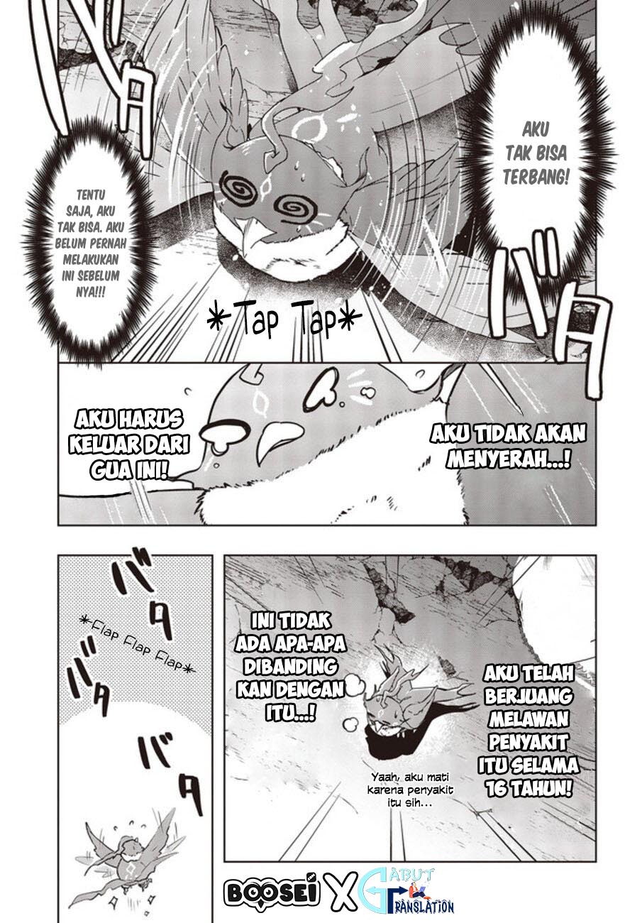 Fushichou e no Tensei: Dragon Taoseru tte Futsuu no Tori ja nai yo ne? Chapter 02 Gambar 13