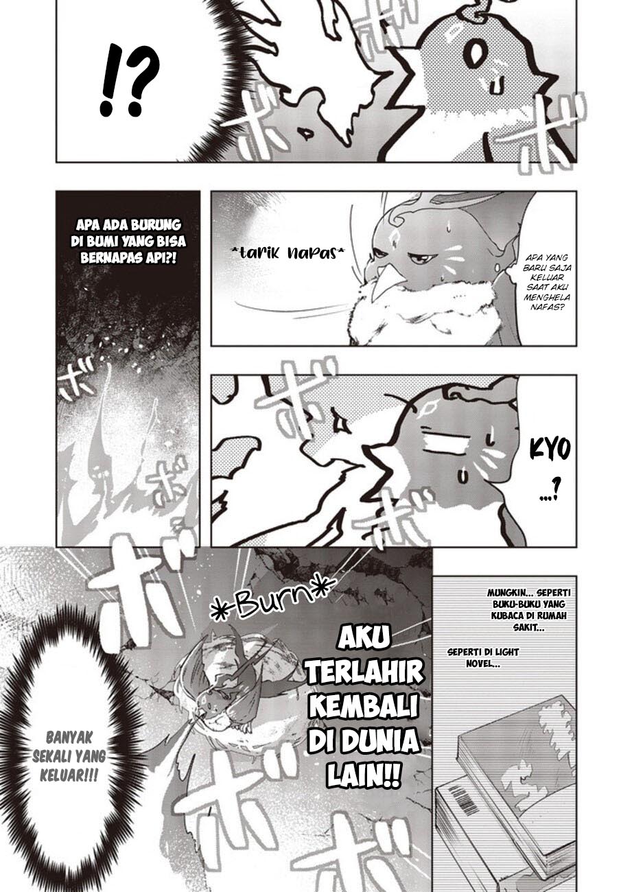 Fushichou e no Tensei: Dragon Taoseru tte Futsuu no Tori ja nai yo ne? Chapter 02 Gambar 17