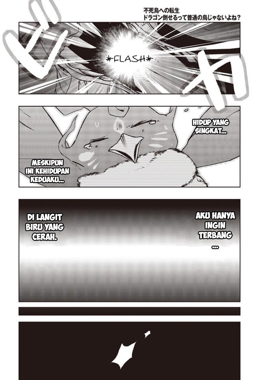 Fushichou e no Tensei: Dragon Taoseru tte Futsuu no Tori ja nai yo ne? Chapter 02 Gambar 26
