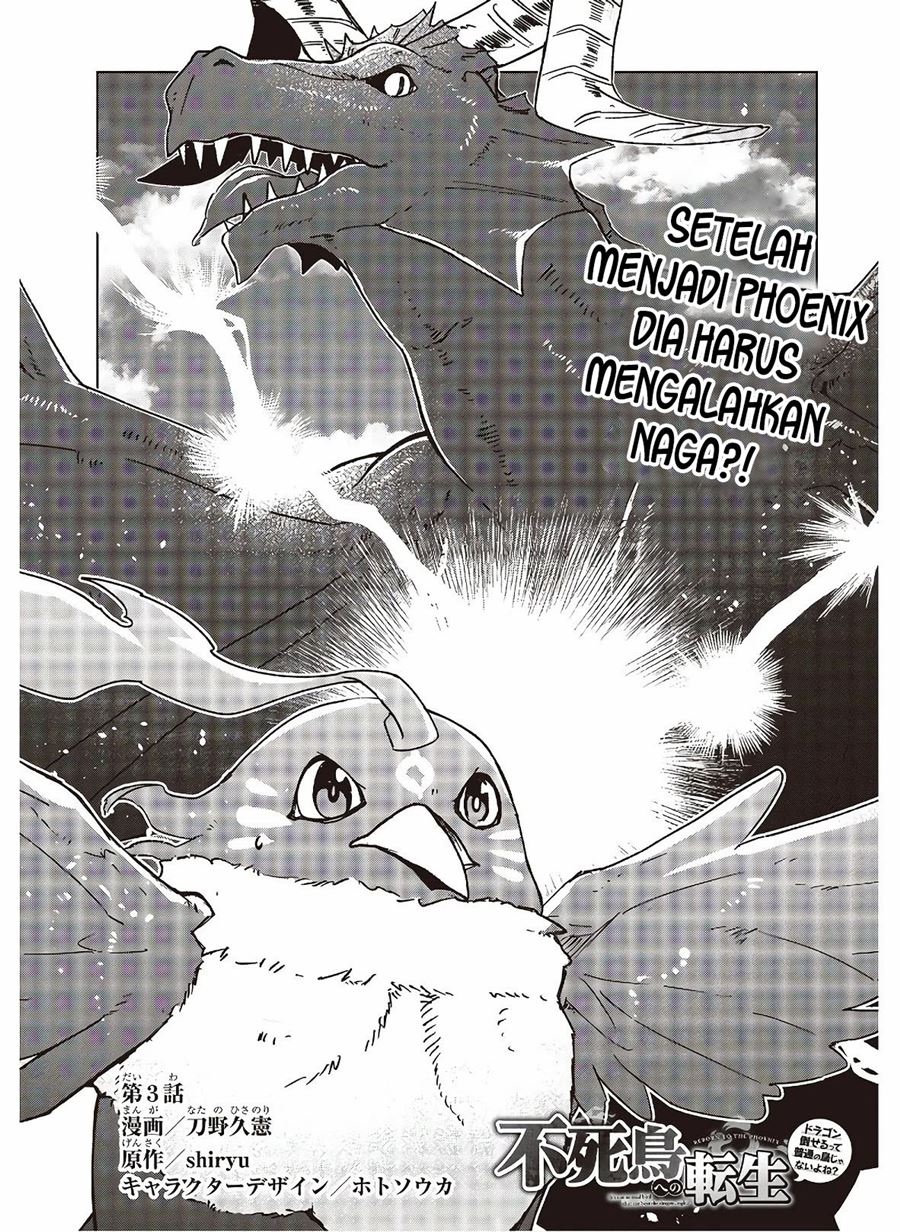 Fushichou e no Tensei: Dragon Taoseru tte Futsuu no Tori ja nai yo ne? Chapter 03 Gambar 3