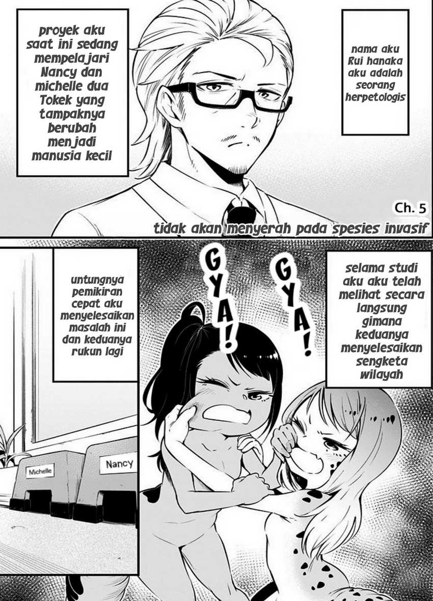 Hachuurui-chan wa Natsukanai Chapter 05 Gambar 1