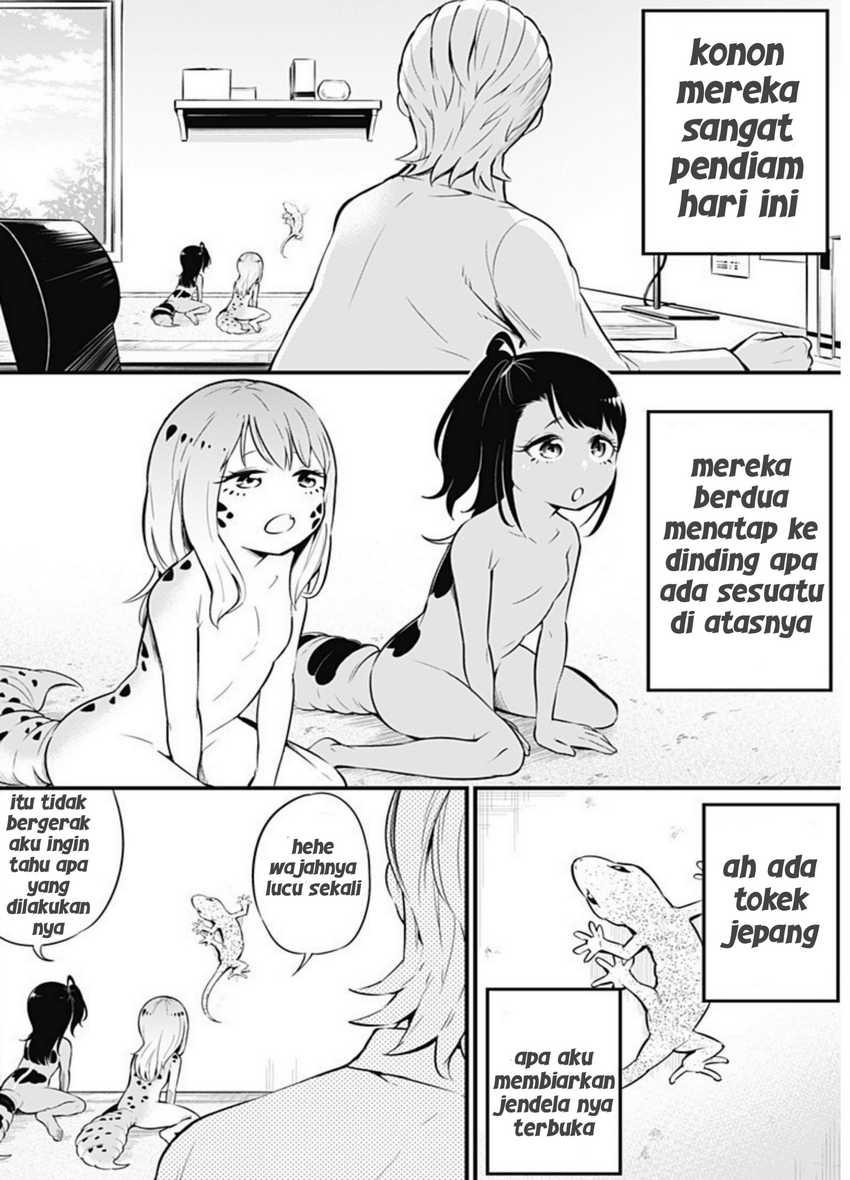 Hachuurui-chan wa Natsukanai Chapter 05 Gambar 2