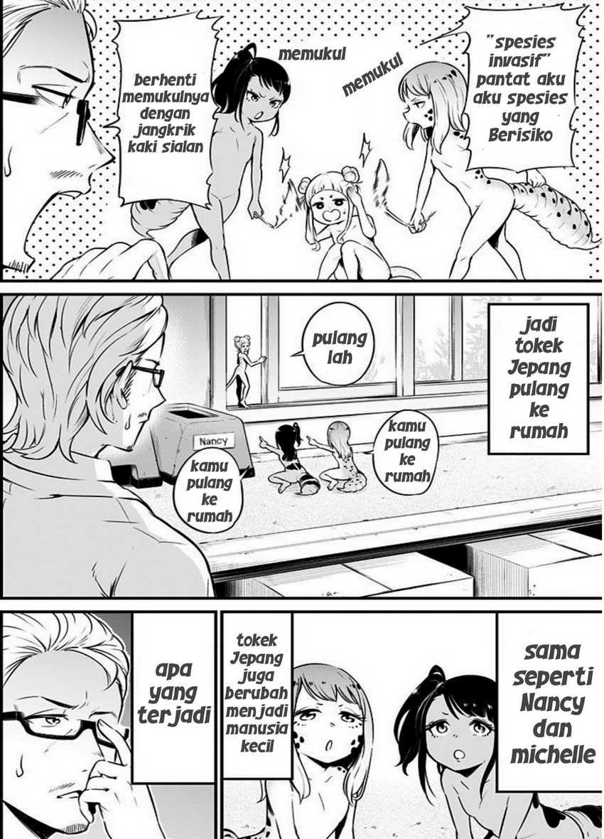 Hachuurui-chan wa Natsukanai Chapter 05 Gambar 8