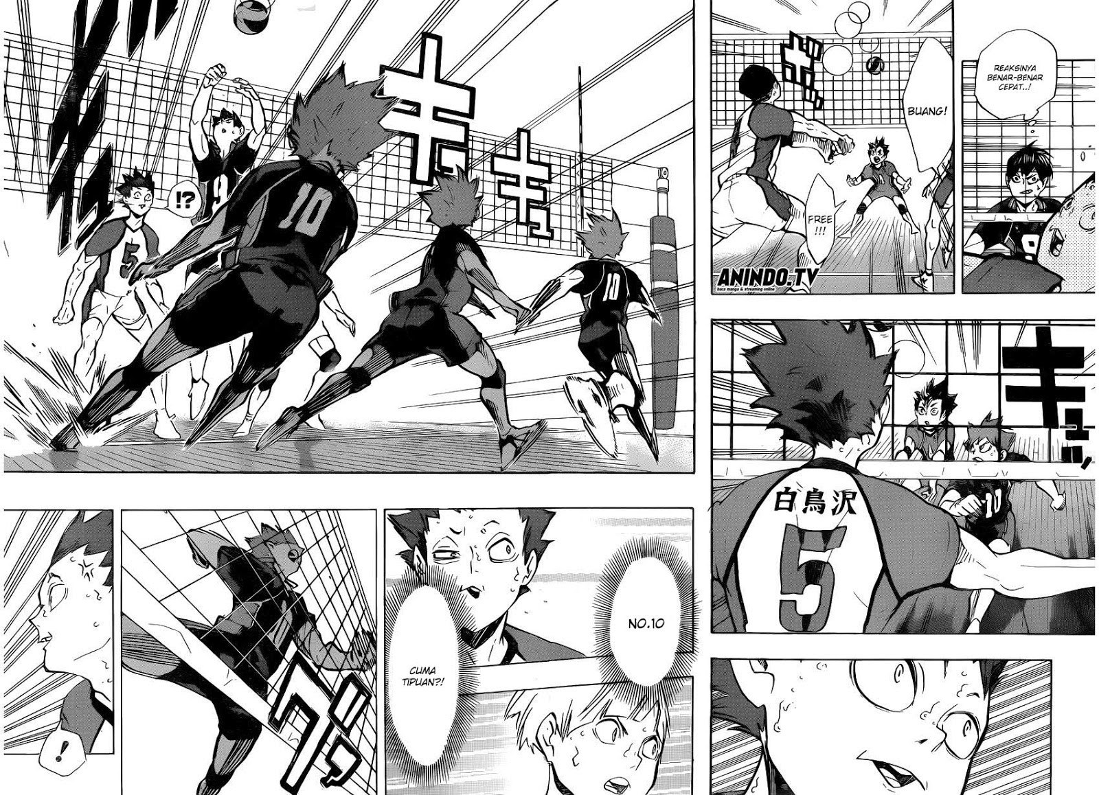 Haikyuu!! Chapter 161 Gambar 15