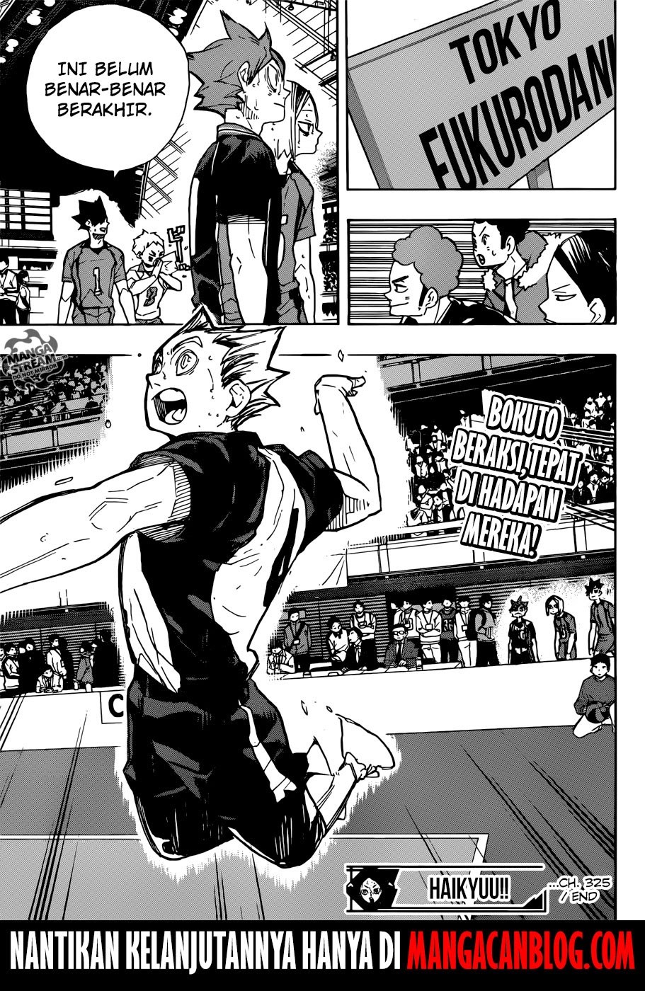 Haikyuu!! Chapter 325 Gambar 19