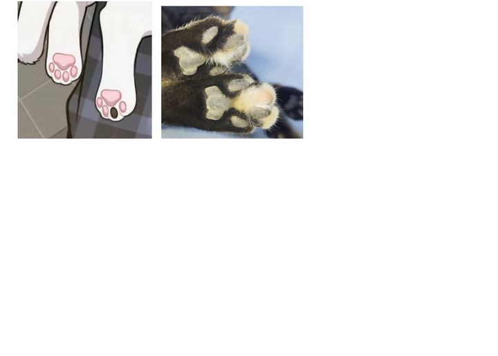 Hello, Fluffy Griffin! Chapter 04 Gambar 38