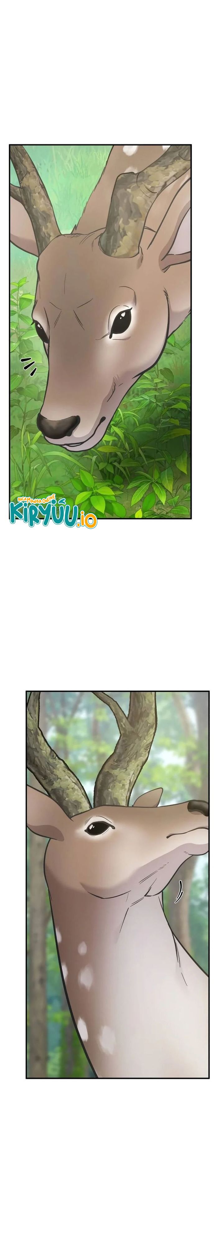 Hello, Fluffy Griffin! Chapter 23 Gambar 2