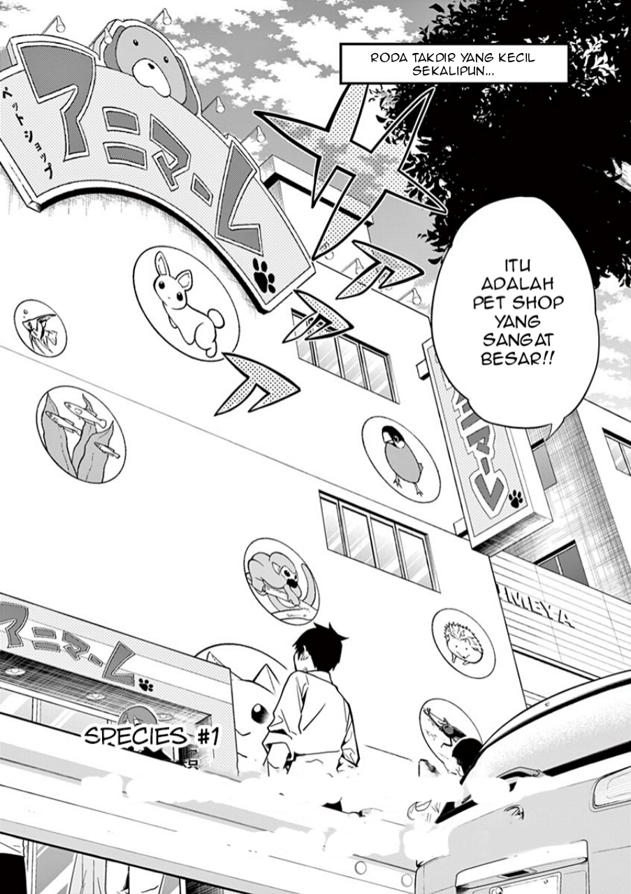 Himitsu no Reptiles Chapter 01 Gambar 4