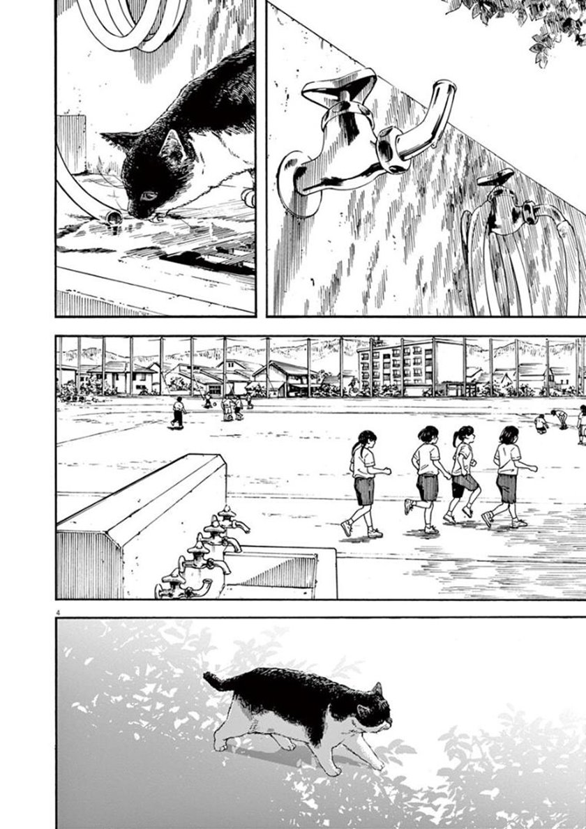 Insomniacs After School (Kimi wa Houkago Insomnia) Chapter 19 Gambar 7