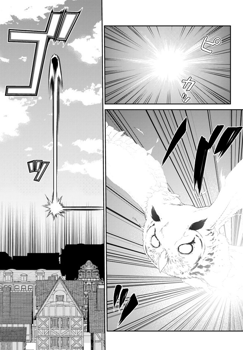 Jingai Hime Sama, Hajimemashita – Free Life Fantasyw Chapter 09.2 Gambar 12