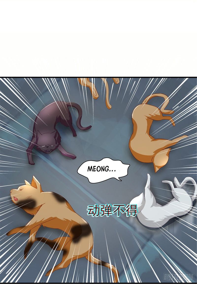 King in the City Chapter 02 Gambar 29
