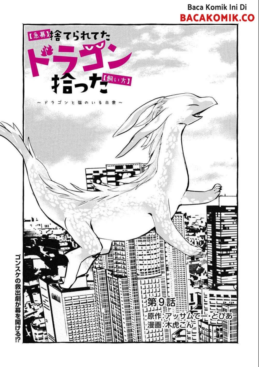 Kyuubo: Suterareteta Dragon Hirotta Chapter 09 Gambar 2