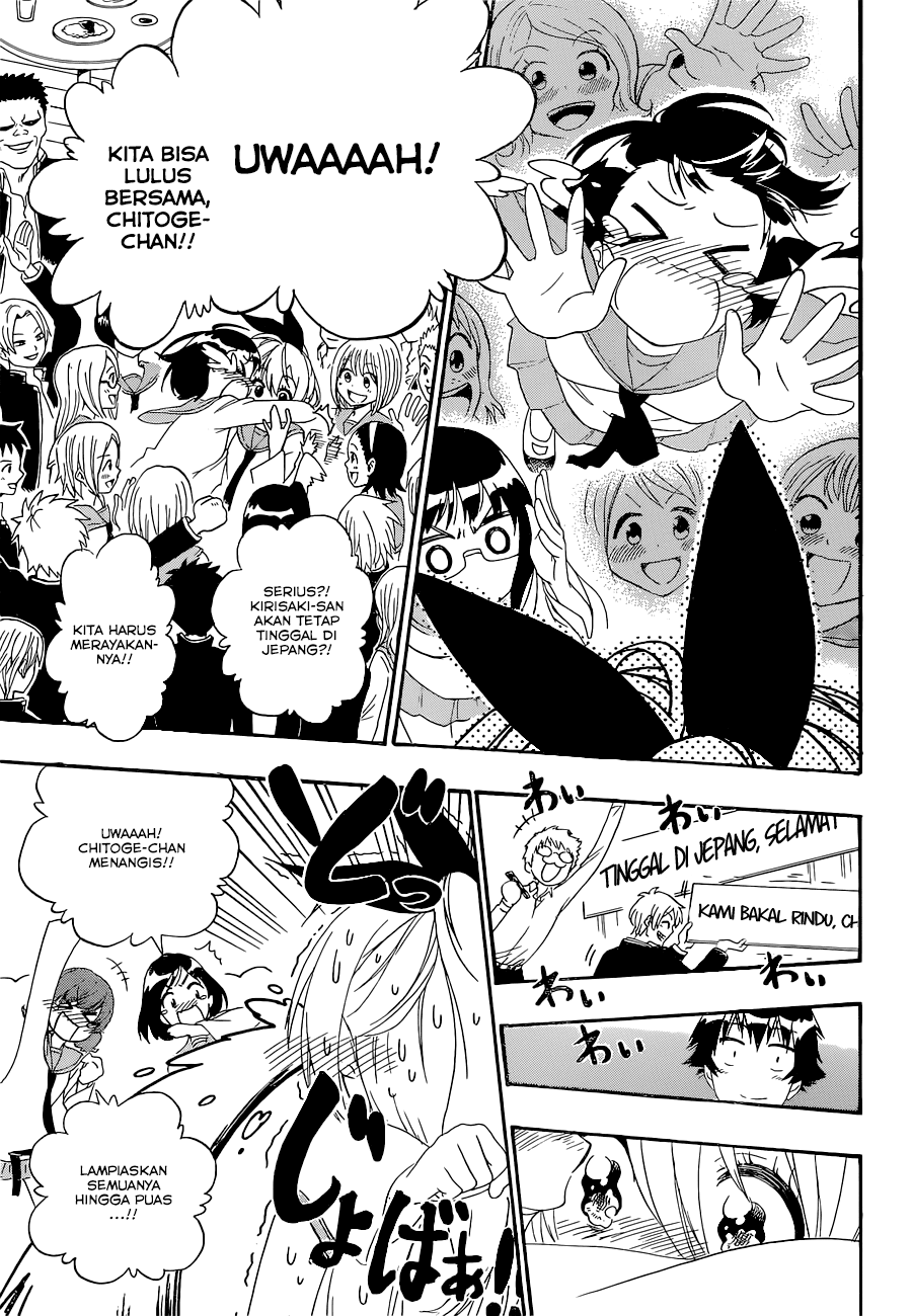 Nisekoi Chapter 162 Gambar 12