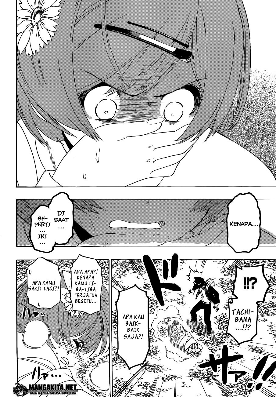 Nisekoi Chapter 181 Gambar 6