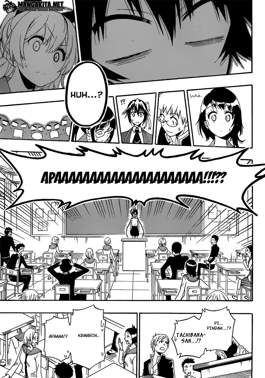 Nisekoi Chapter 181 Gambar 13