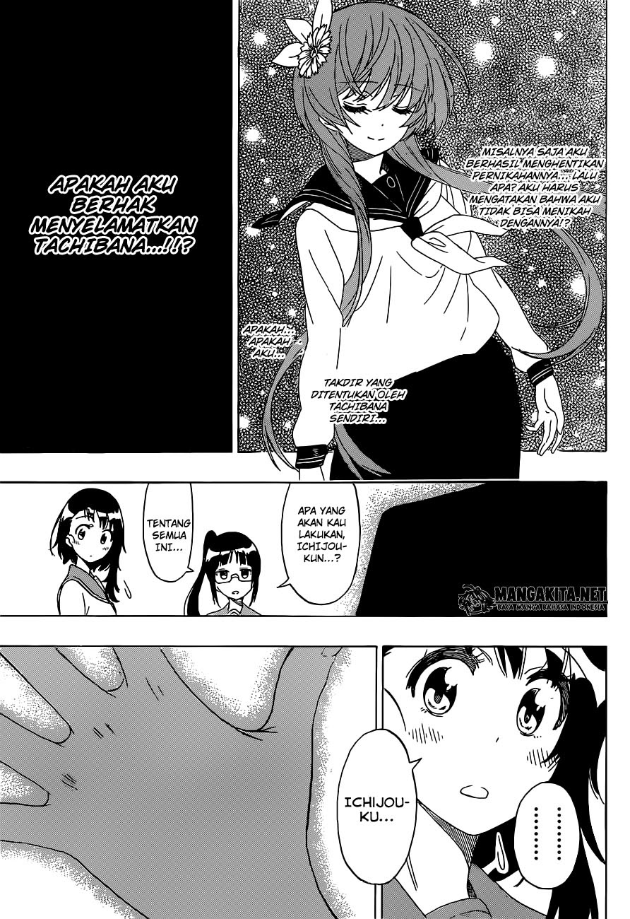 Nisekoi Chapter 182 Gambar 14
