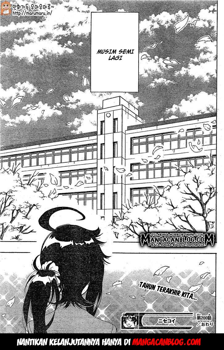 Nisekoi Chapter 200 Gambar 19