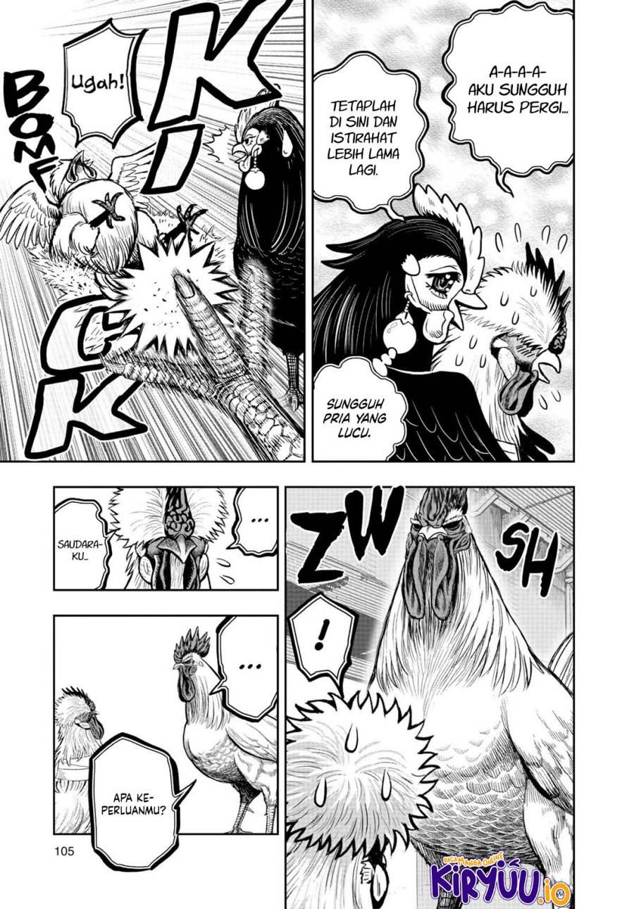 Rooster Fighter Chapter 19 Gambar 8