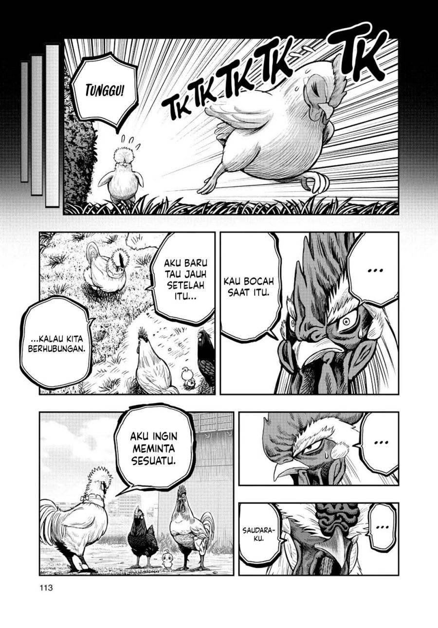 Rooster Fighter Chapter 19 Gambar 16