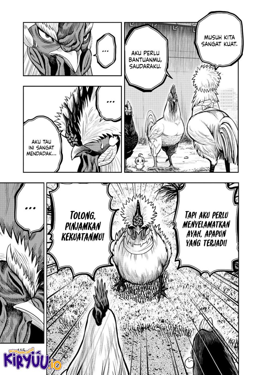 Rooster Fighter Chapter 19 Gambar 18