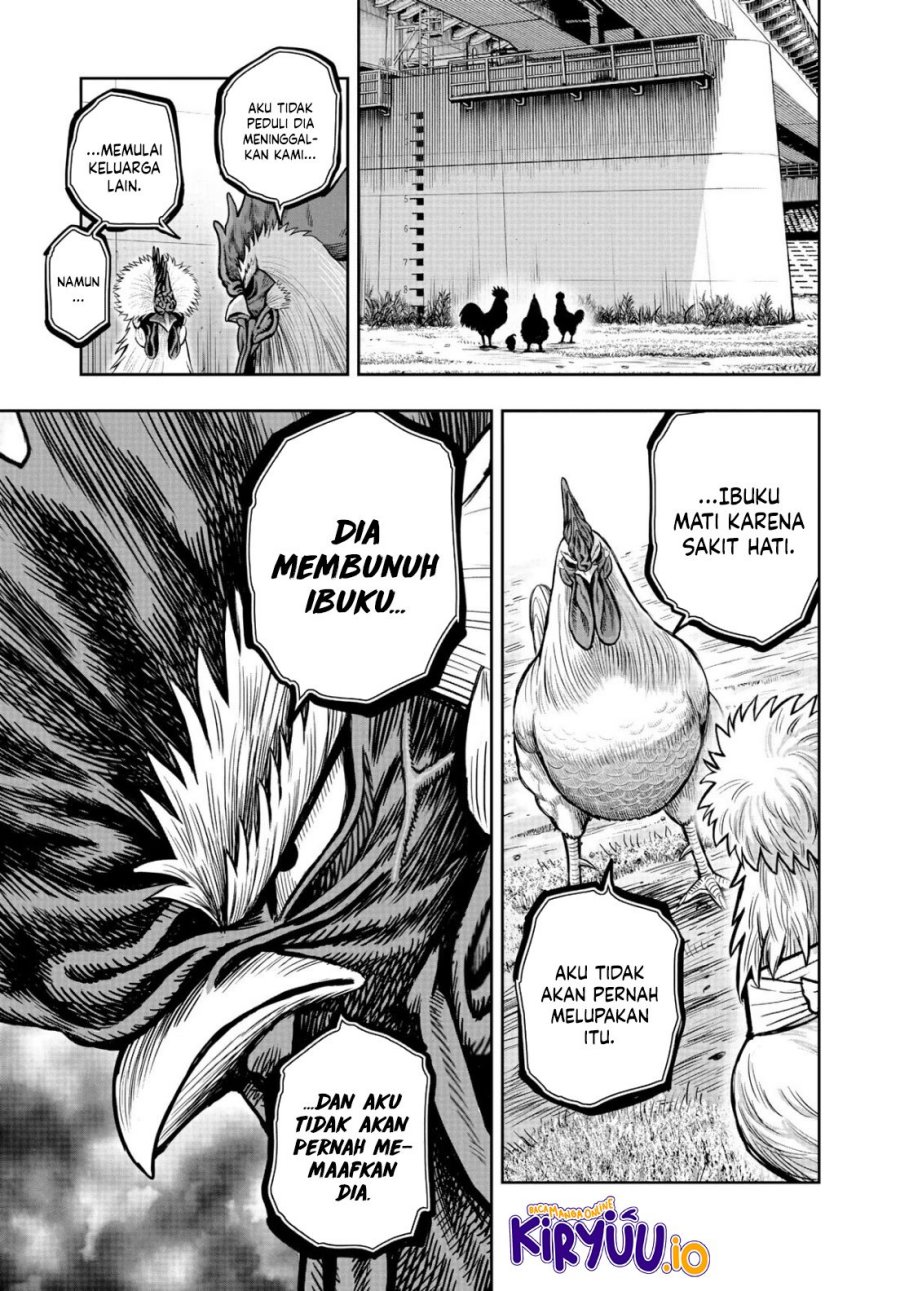Rooster Fighter Chapter 19 Gambar 24