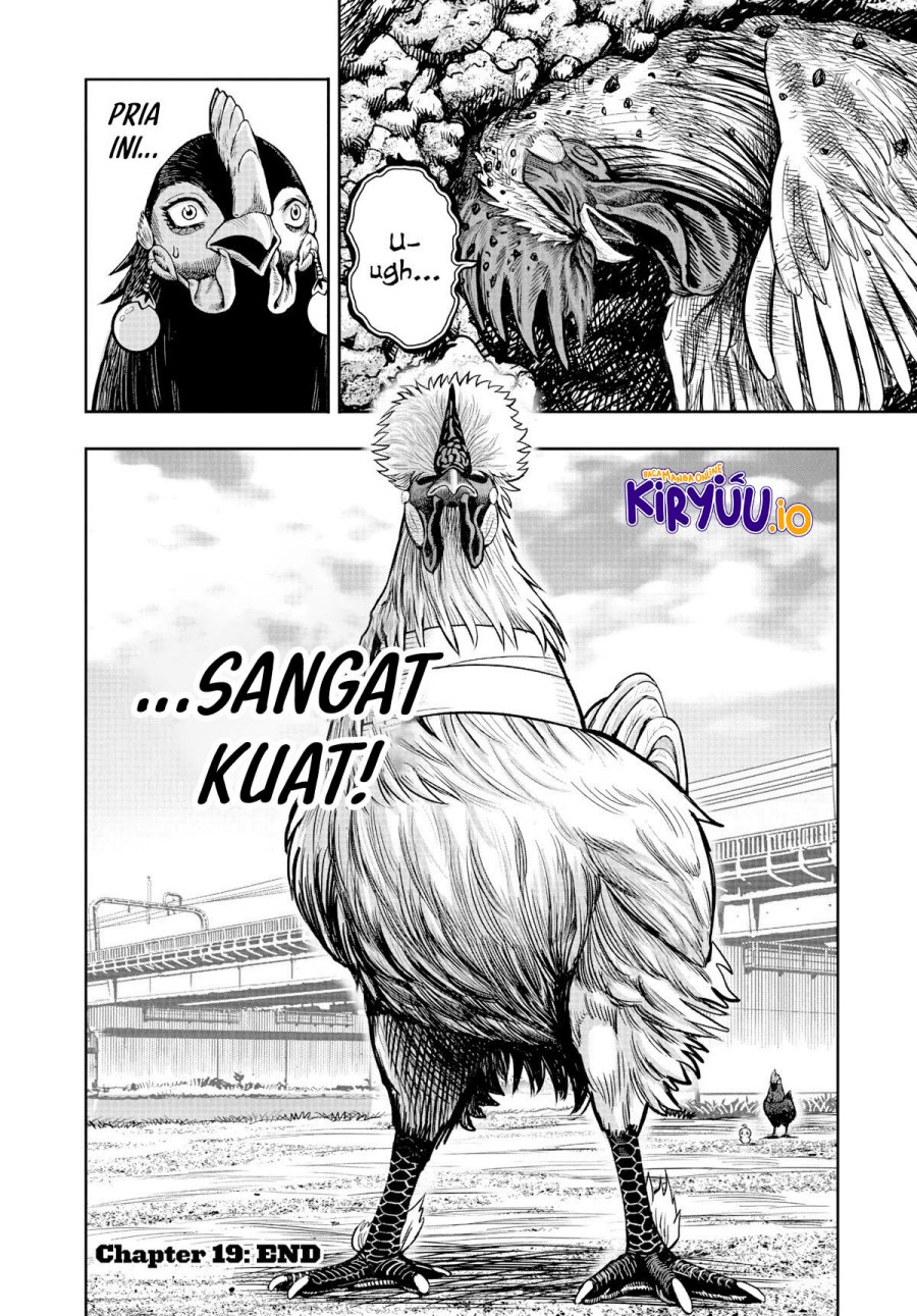 Rooster Fighter Chapter 19 Gambar 41