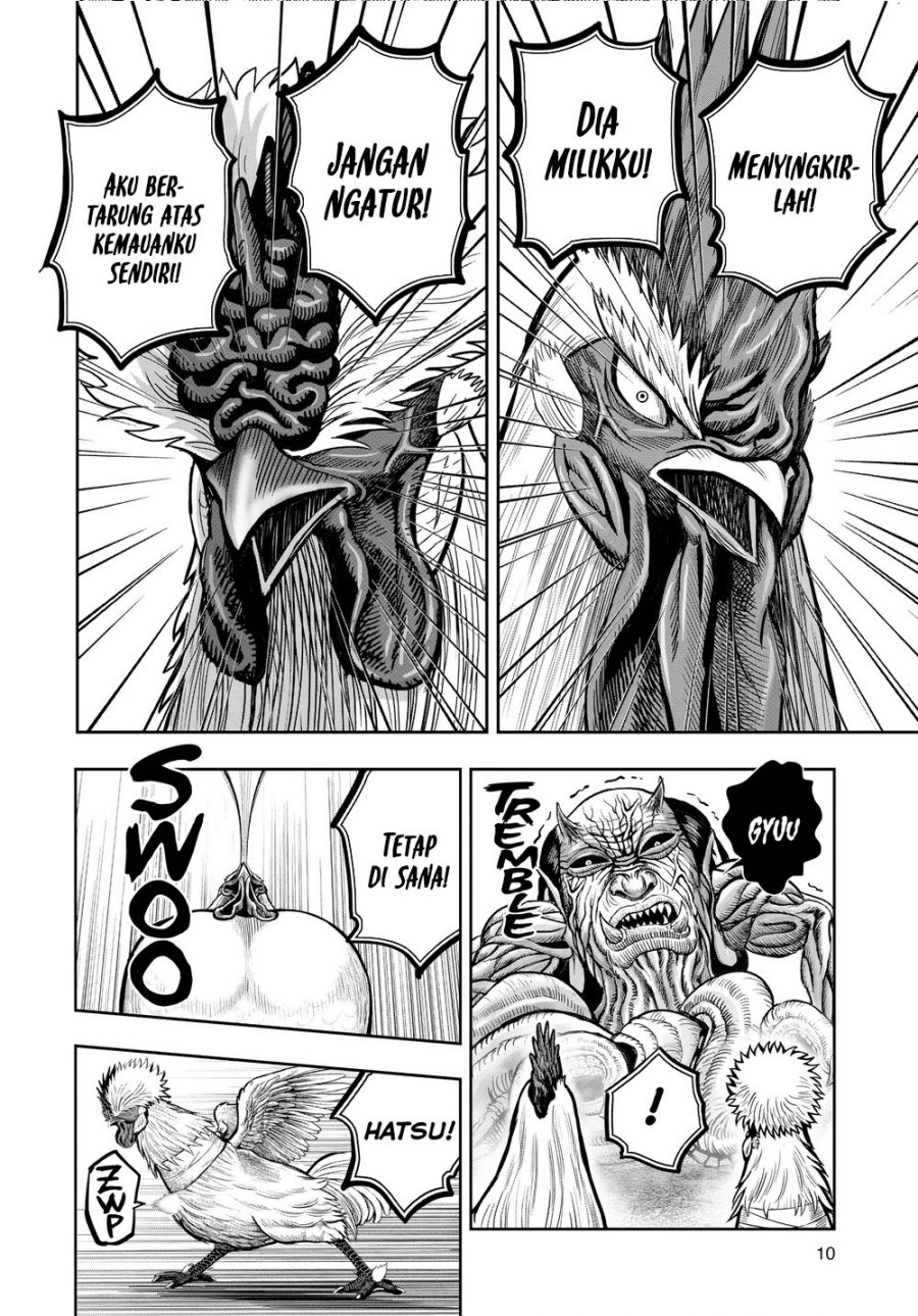 Rooster Fighter Chapter 21 Gambar 12