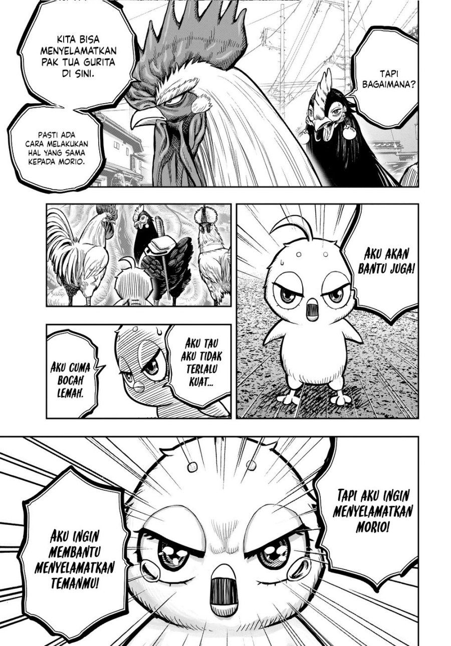 Rooster Fighter Chapter 21 Gambar 29