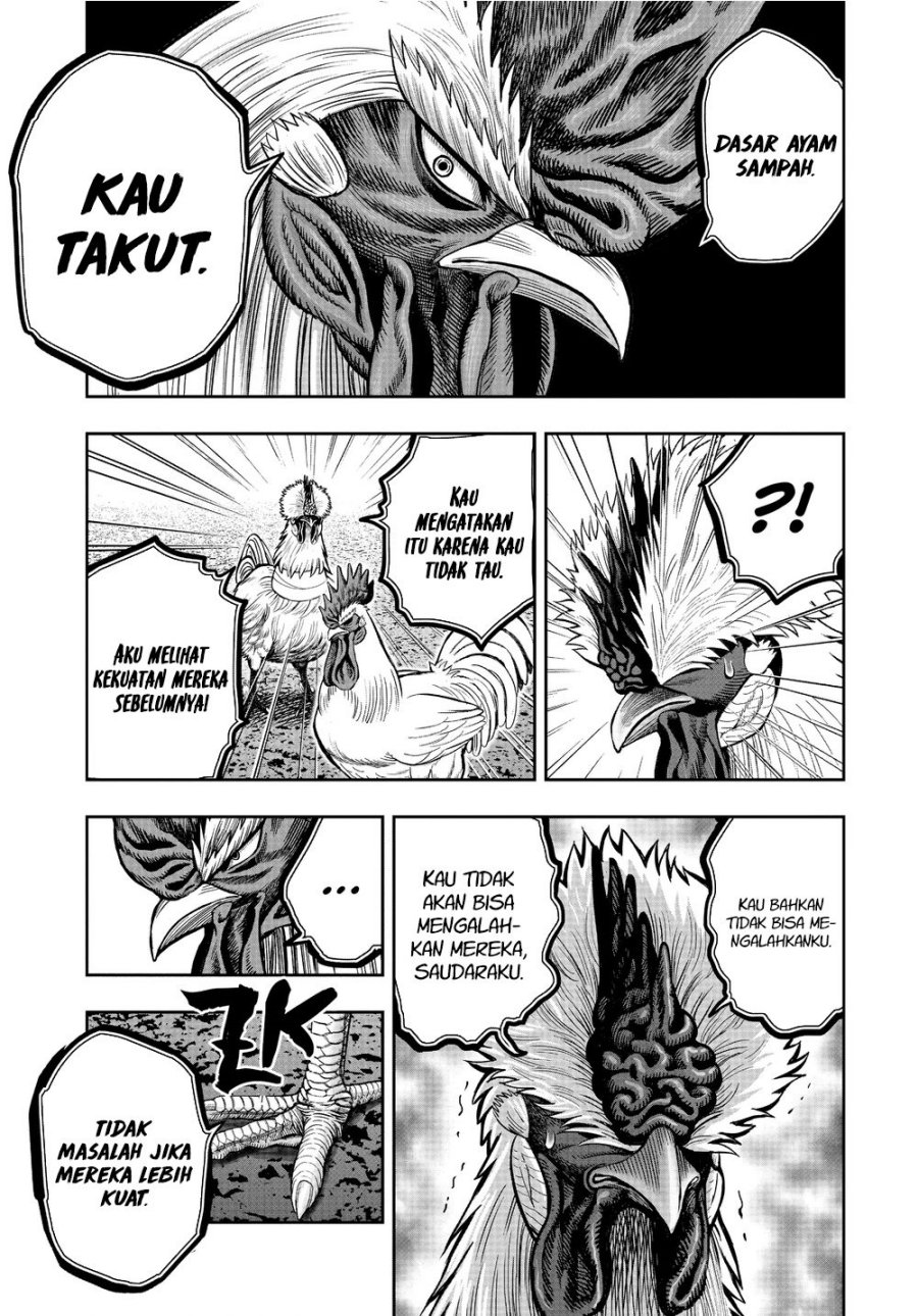 Rooster Fighter Chapter 21 Gambar 31