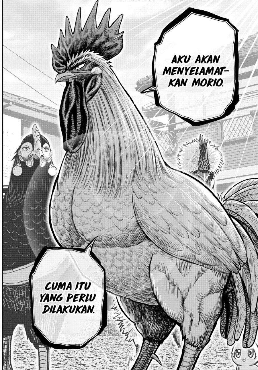 Rooster Fighter Chapter 21 Gambar 32
