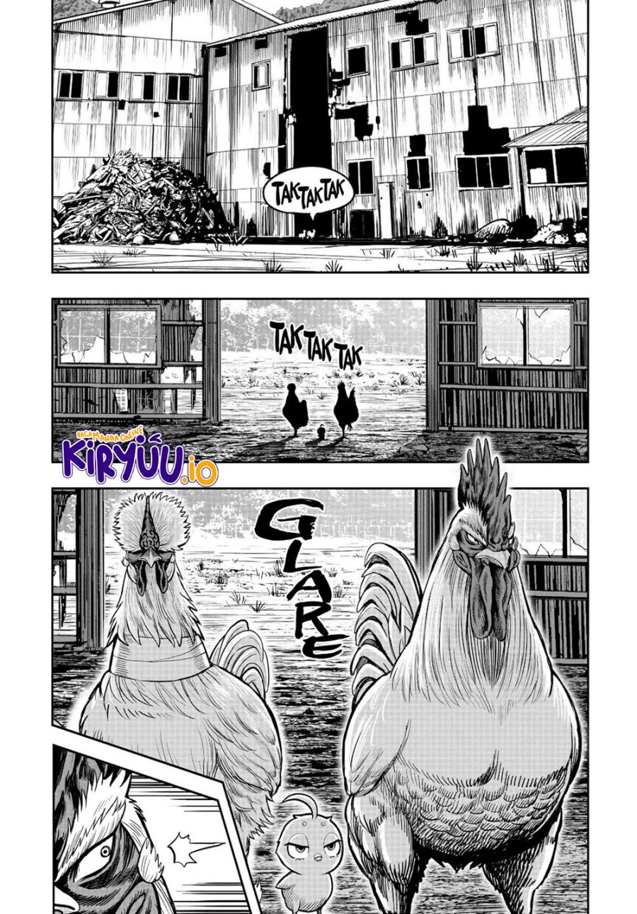 Rooster Fighter Chapter 22 Gambar 2