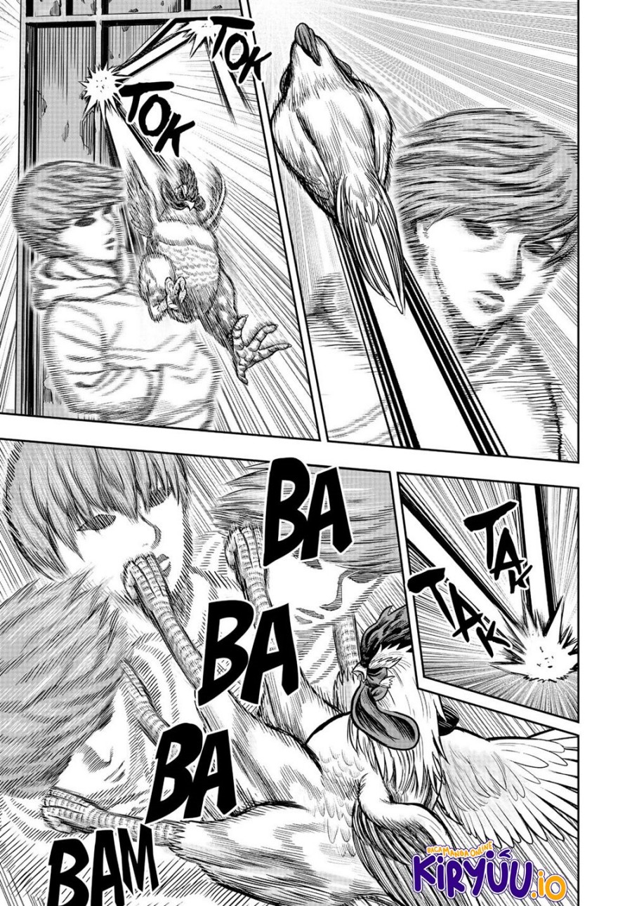 Rooster Fighter Chapter 22 Gambar 6