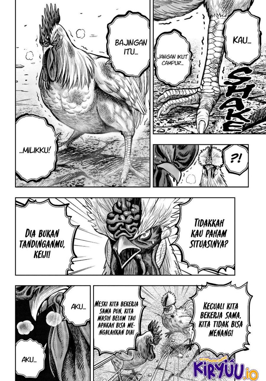 Rooster Fighter Chapter 24 Gambar 32